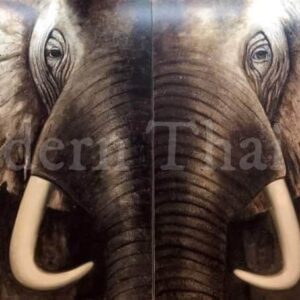Dual Spirit (Sold Seperately)*