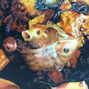 Tranquil Reflections Fish Pond Scene