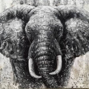 Black And White Elephant